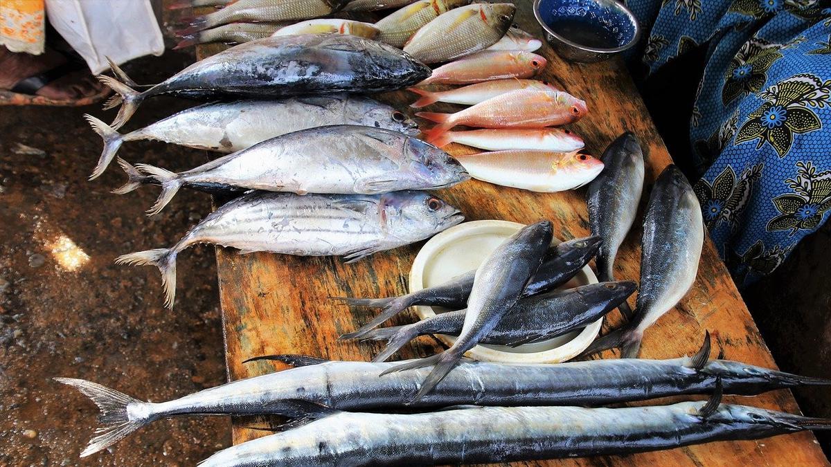 Manfaat Ikan Laut: Kekayaan Nutrisi yang Membuat Anda Lebih Sehat