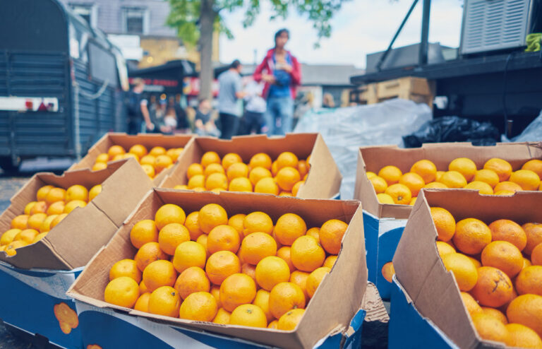 bisnis buah jeruk